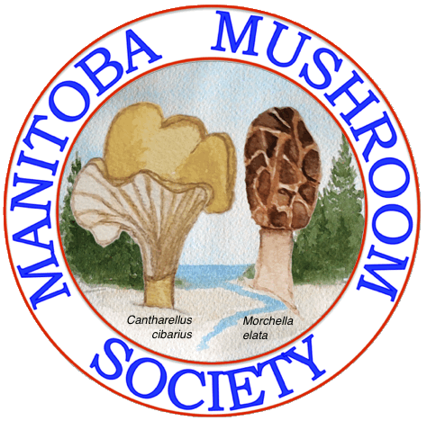 Manitoba Mushroom Society Logo &copy; Manitoba Mushroom Society Inc.